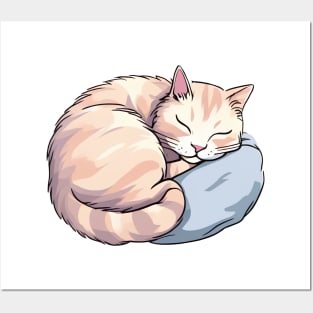 Cute cat sleeping on a pillow Posters and Art